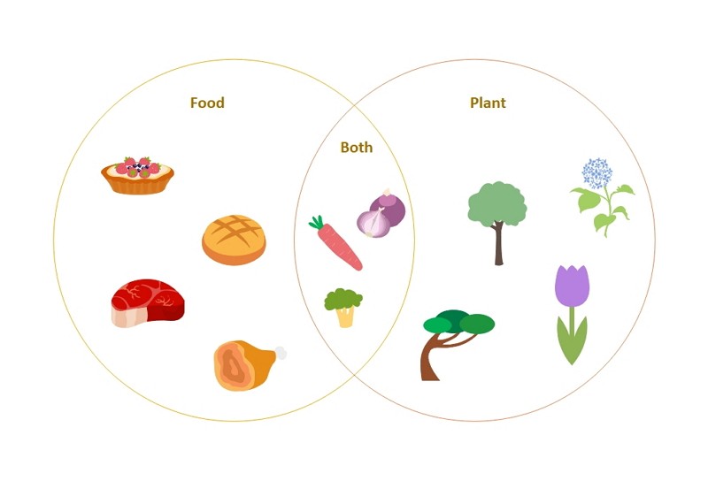 Diagramme de Venn amusant